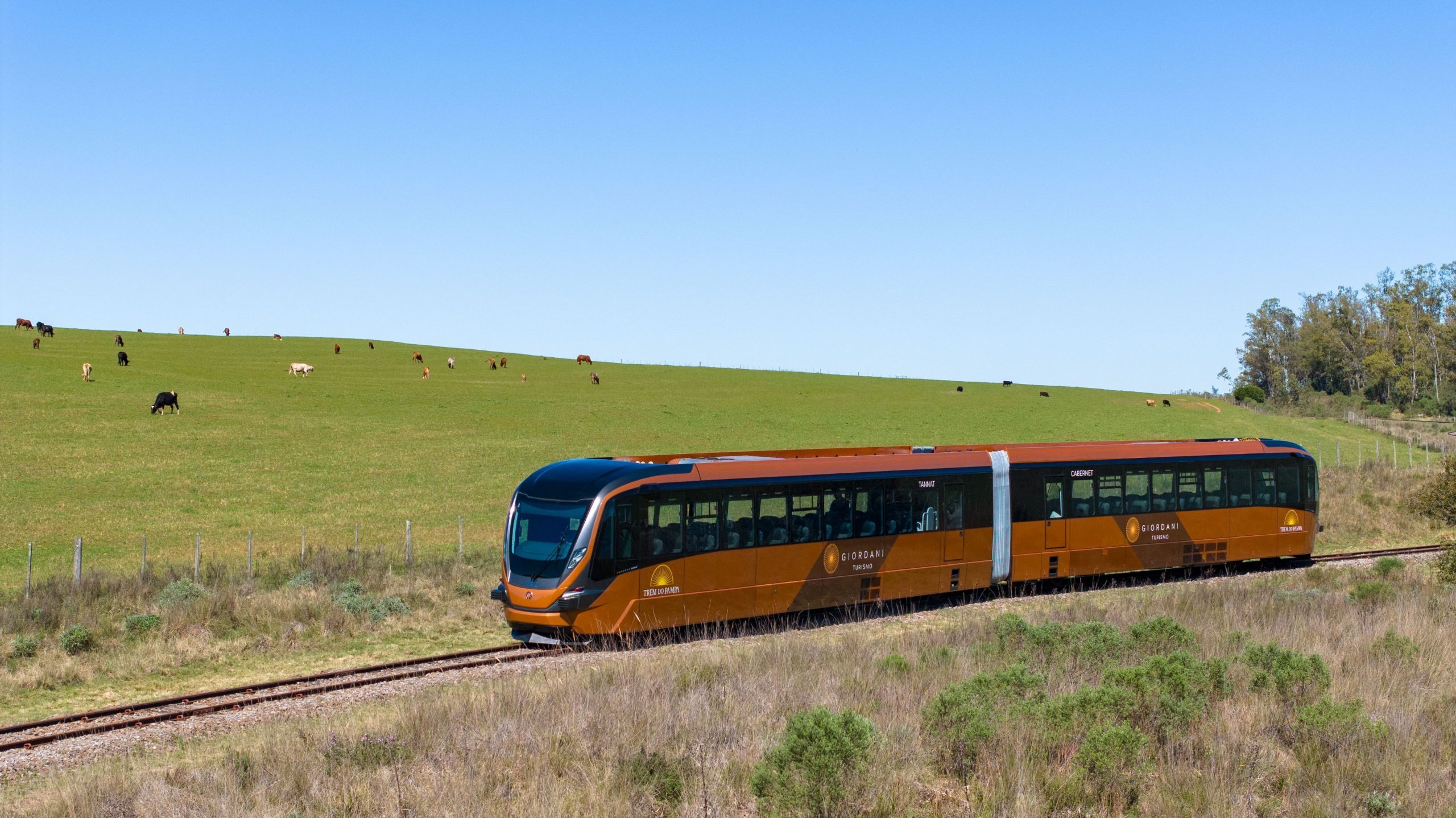 Trem no RS leva público para conhecer vinícola na fronteira com Uruguai