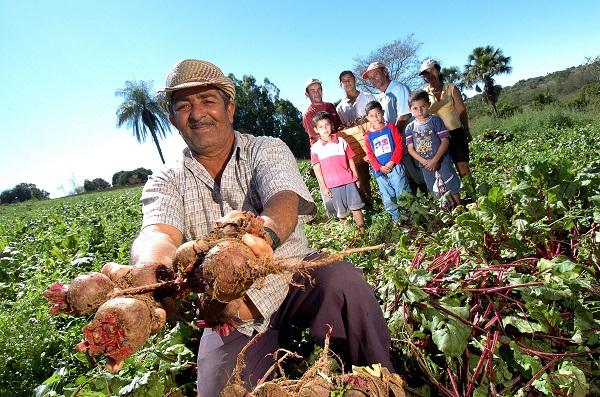 Comissão aprova projeto que incentiva hospitais públicos a comprar alimentos da agricultura familiar