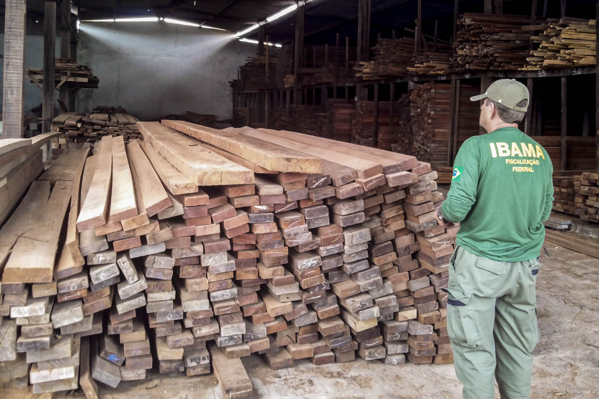 Ibama apreende 71 metros cúbicos de madeira comercializada de forma irregular em Sergipe