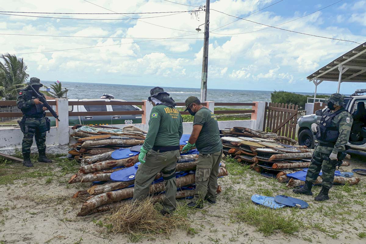 Ibama apreende dezenas de armadilhas ilegais usadas para capturar lagostas durante o defeso no litoral paraibano