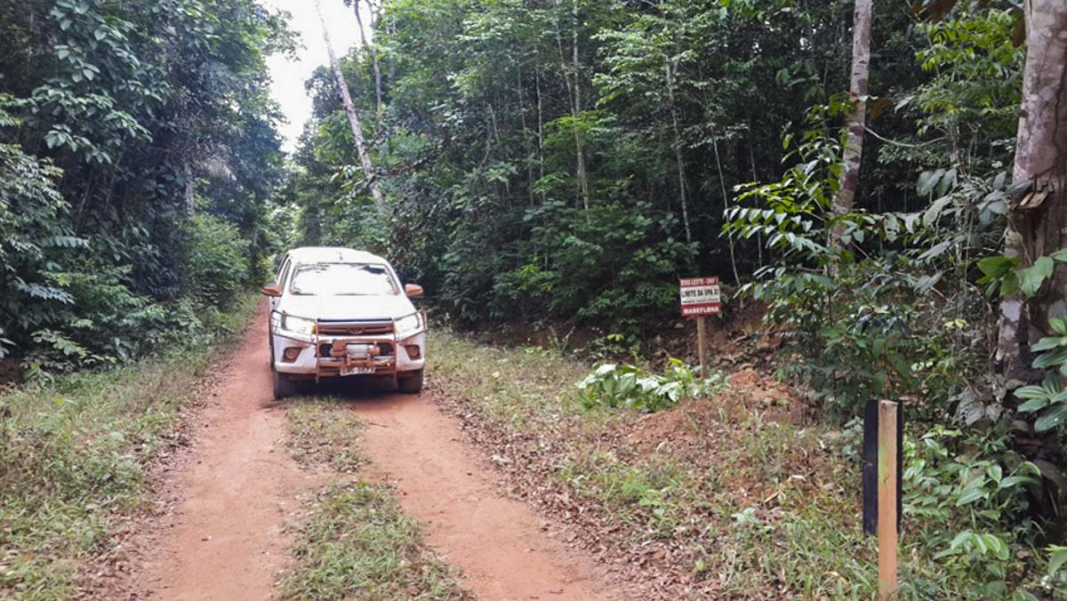 Manejo sustentável autorizado pelo Ibama em 2019 totalizou 39 mil hectares