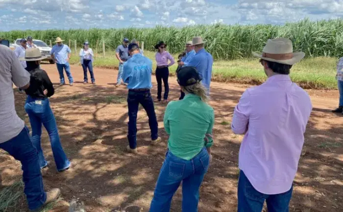 Tocantins abre inscrições para a 3ª edição do “Café no Campo 2024” para pecuaristas e produtores rurais do Bico do Papagaio