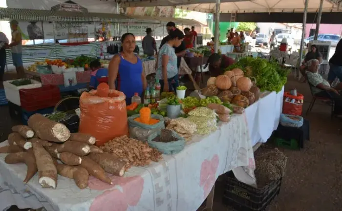 Estado promove 13ª edição da Feira da Colheita com atendimentos sobre aposentadoria rural, salário-maternidade e palestras técnicas em Araguatins