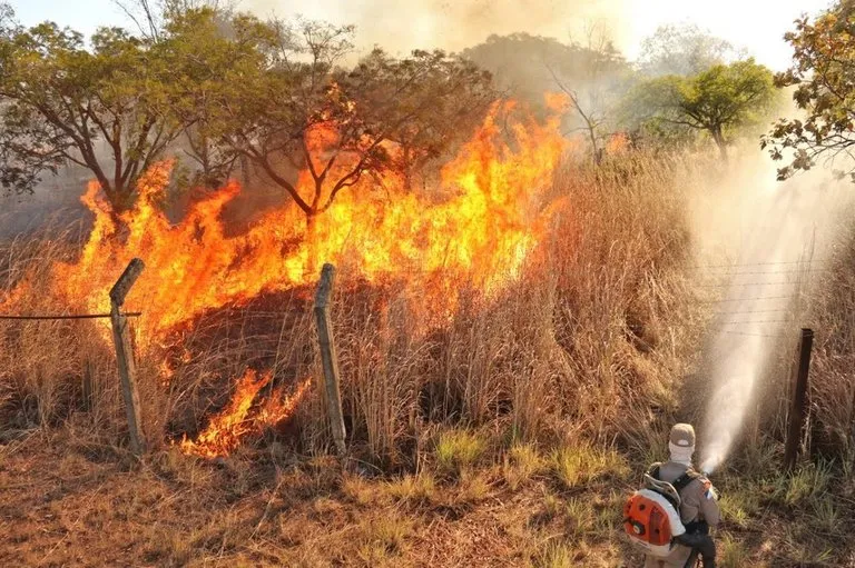 Tocantins registra mais de 1,6 mil focos de queimadas em agosto, aponta monitoramento.