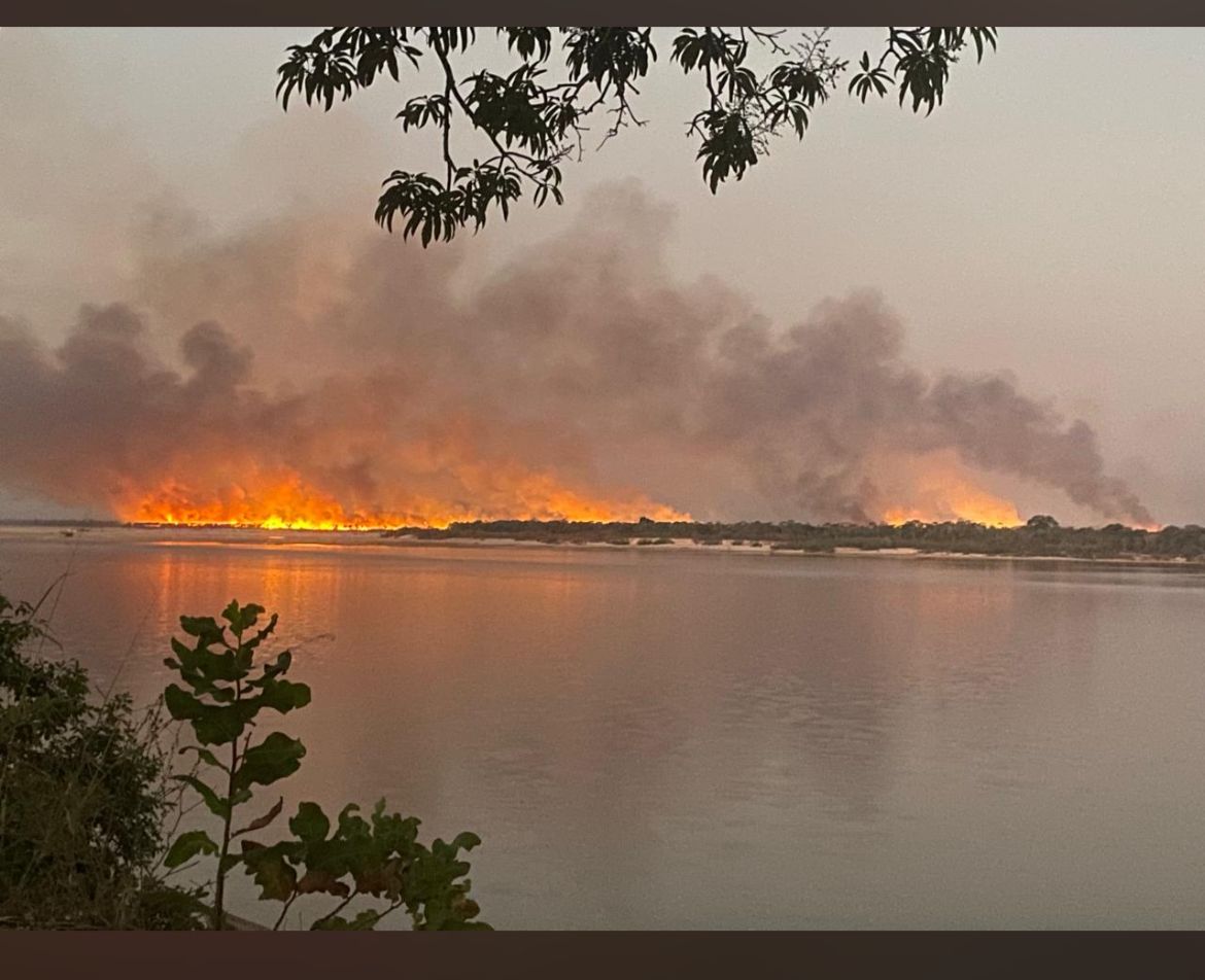 Parque Estadual do Cantão em chamas: Um incêndio ameaça a biodiversidade e comunidade tradicional de torrãozeiros.