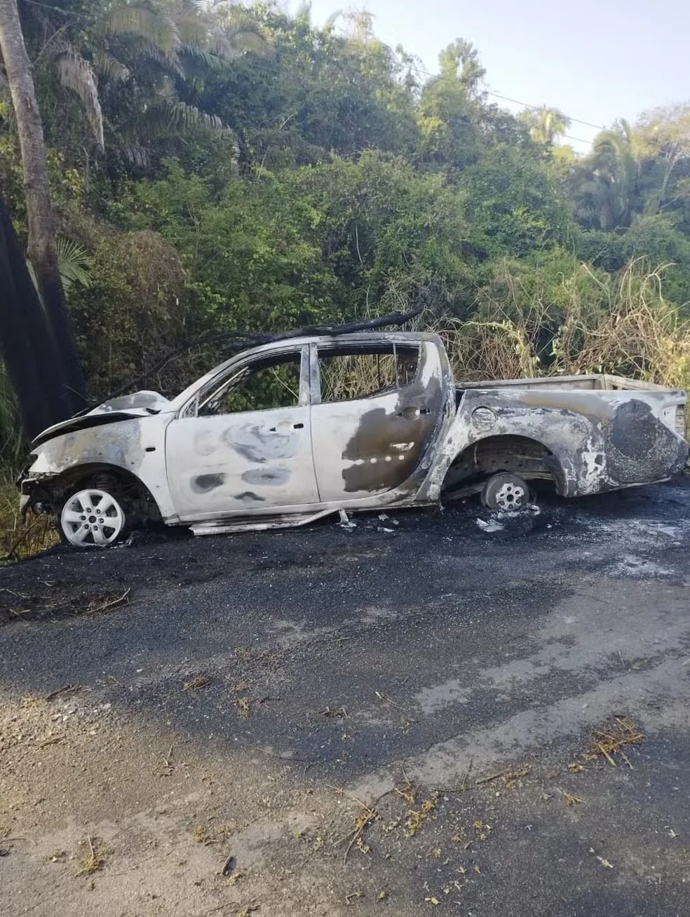 Motorista colide com árvore ao desviar de antas e caminhonete incendeia na TO-222