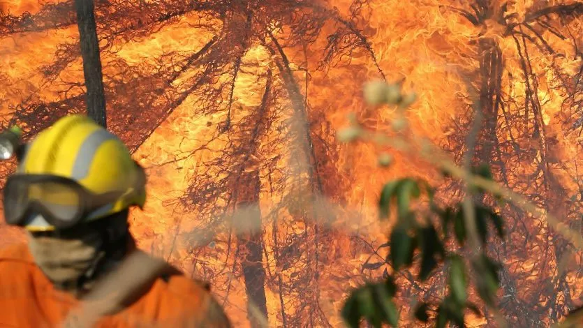 Incêndios em alta no Tocantins: Mais de 1,7 mil focos são registrados em agosto, mostra INPE