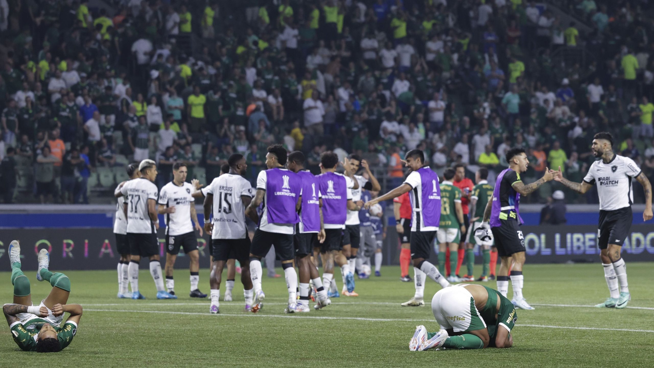 Palmeiras 2 x 2 Botafogo: veja melhores momentos, notas e números do jogo