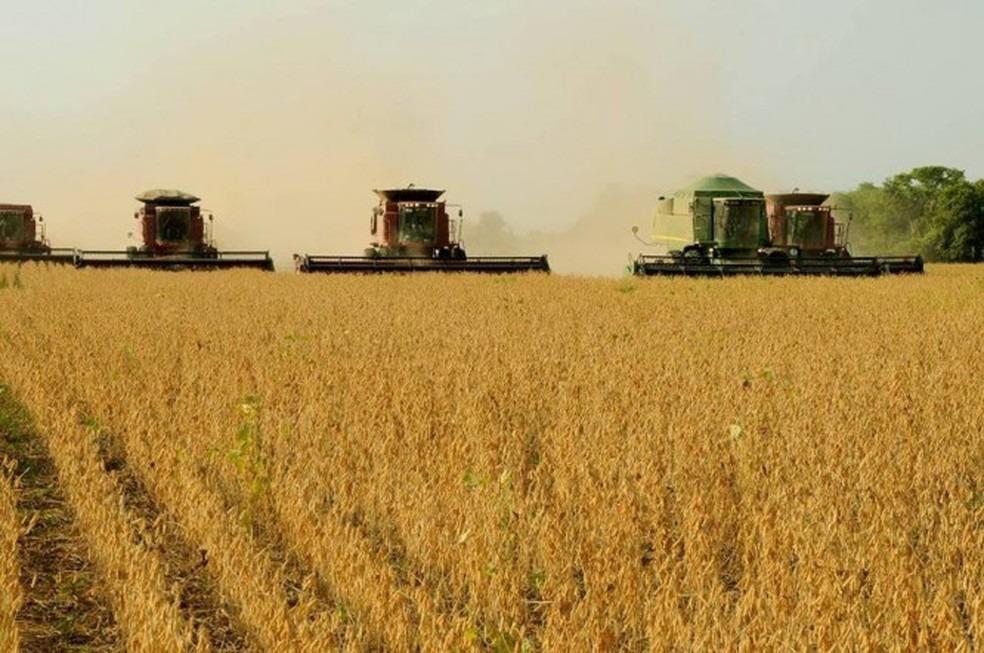 Frente de Entidades do Agronegócio Tocantinense debate questões ambientais em reunião nesta próxima quinta, 1