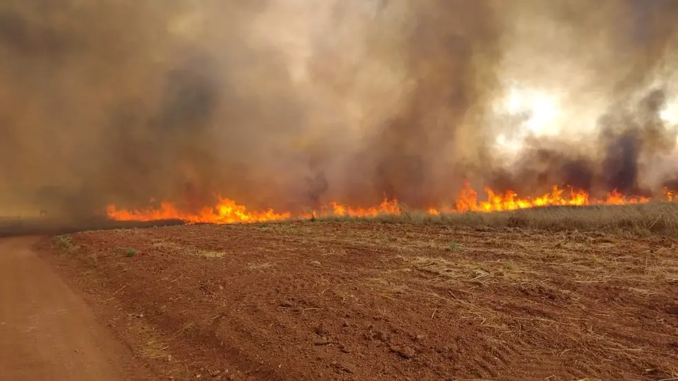 Aprosoja Tocantins cobra ações contra criminosos que provocam incêndios florestais 