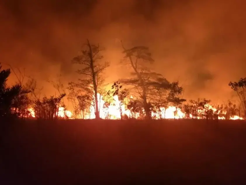 Aproest destaca a contribuição e a preocupação dos produtores rurais no combate às queimadas no Tocantins