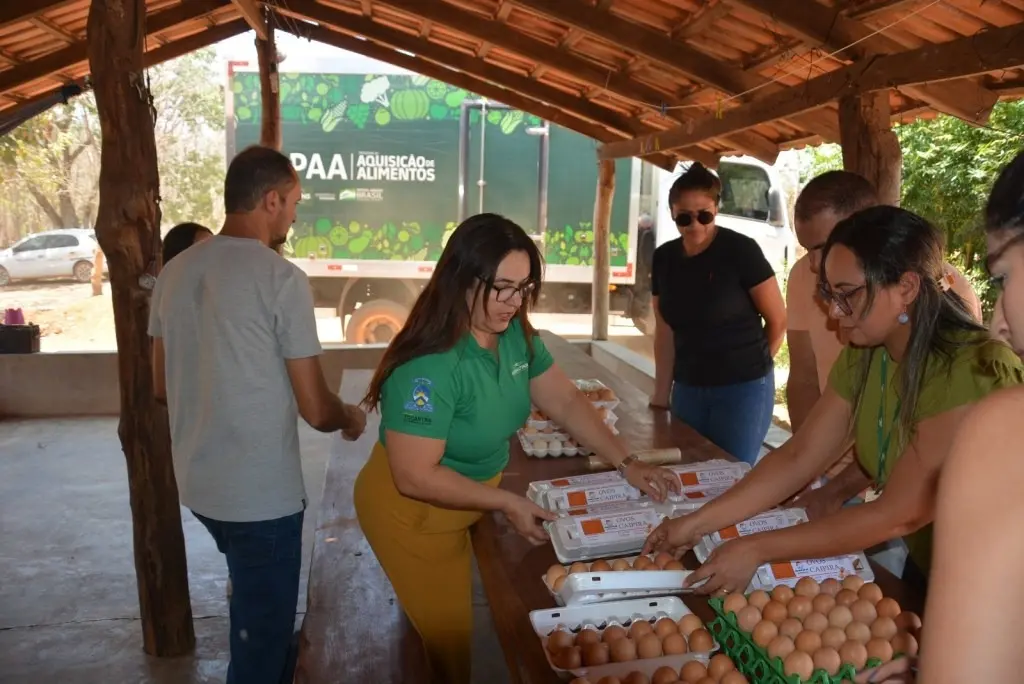 Estado destina R$ 1,5 milhão para PAA Indígena e apoia produtor rural de Pedro Afonso (TO) na entrega de 3.000 ovos