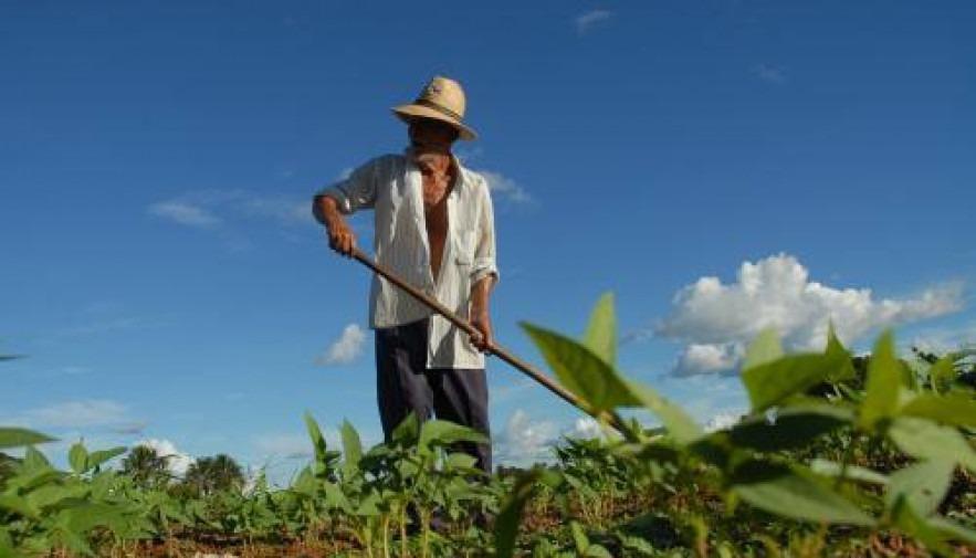 Comissão aprova projeto que autoriza produtor rural a explorar áreas com vegetação nativa recomposta