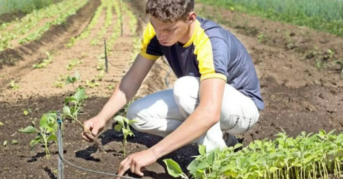 Lei institui programa Jovem Empreendedor Rural no Tocantins