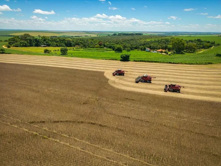 Dia da Agricultura: Como a atividade transformou o Brasil em importante exportador mundial