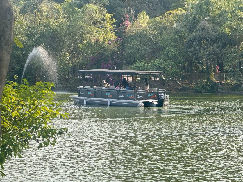 Zoo de SP inaugura passeio de barco em lago vizinho à área dos primatas