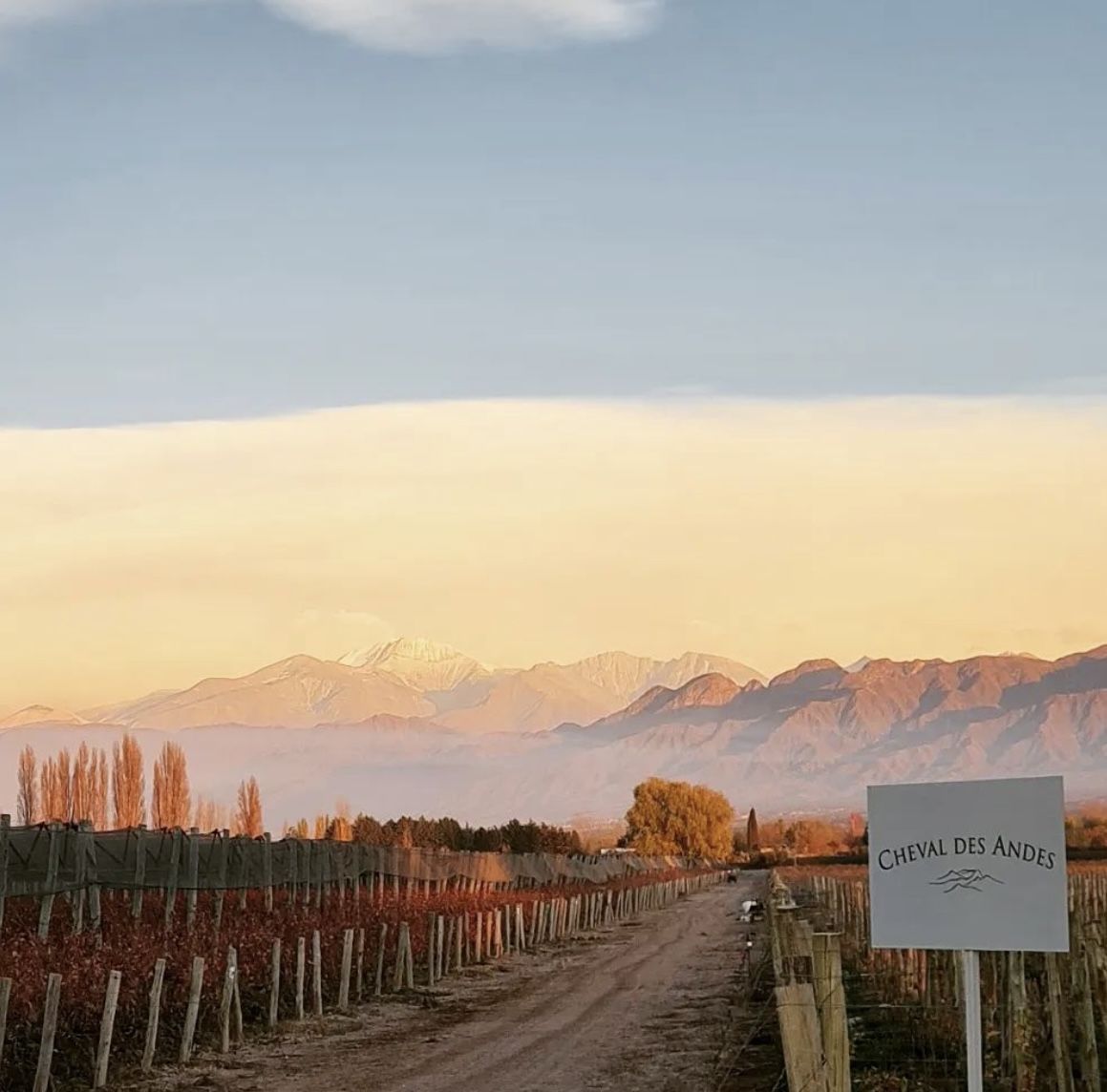 Cheval des Andes: conheça esse passeio imperdível em Mendoza