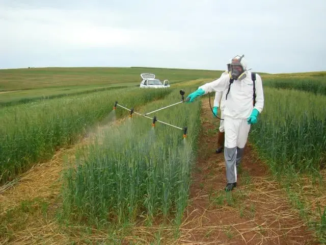 Programa para redução do uso de defensivos agrícolas está sendo elaborado, diz ministro