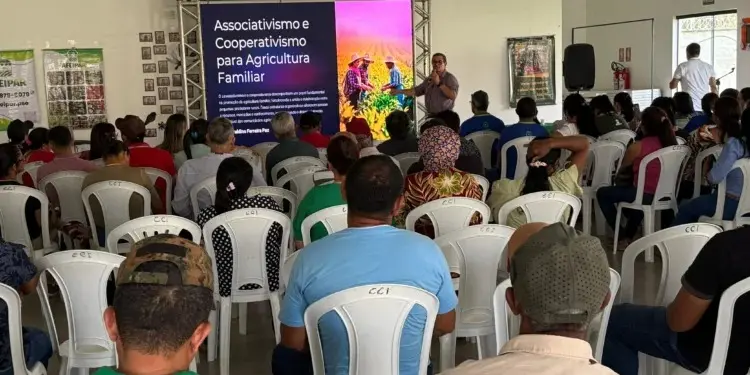 Estado fortalece associativismo e cooperativismo com capacitação de agricultores em Paraíso do Tocantins