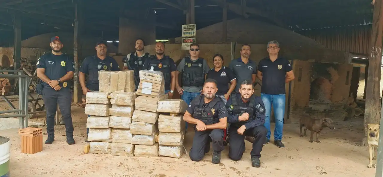 No Sul do Tocantins, Polícia Civil incinera cerca de 400 kg de maconha e gera prejuízo de R$ 1 milhão ao crime organizado