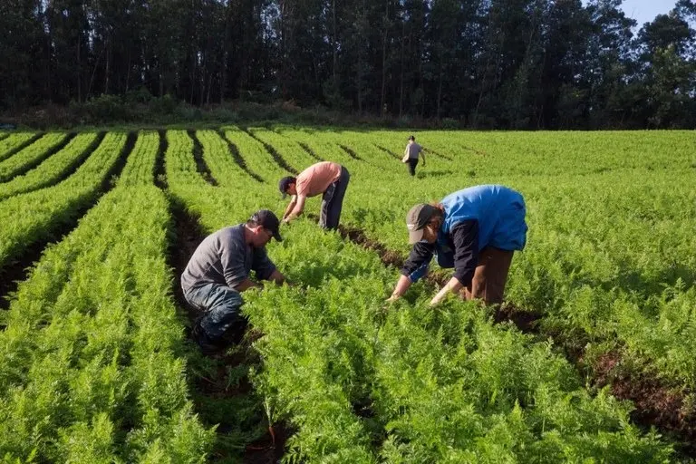 Comissão aprova programa de incentivo a práticas sustentáveis para pequenos produtores rurais