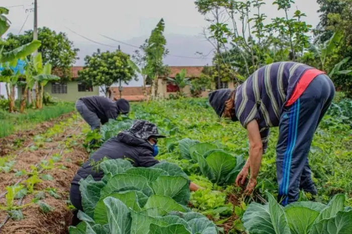 Projeto destina parte dos recursos de loterias para o crédito rural