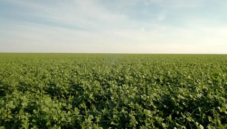 Tocantins reforça investimentos para o desenvolvimento da produção agrícola em 2024