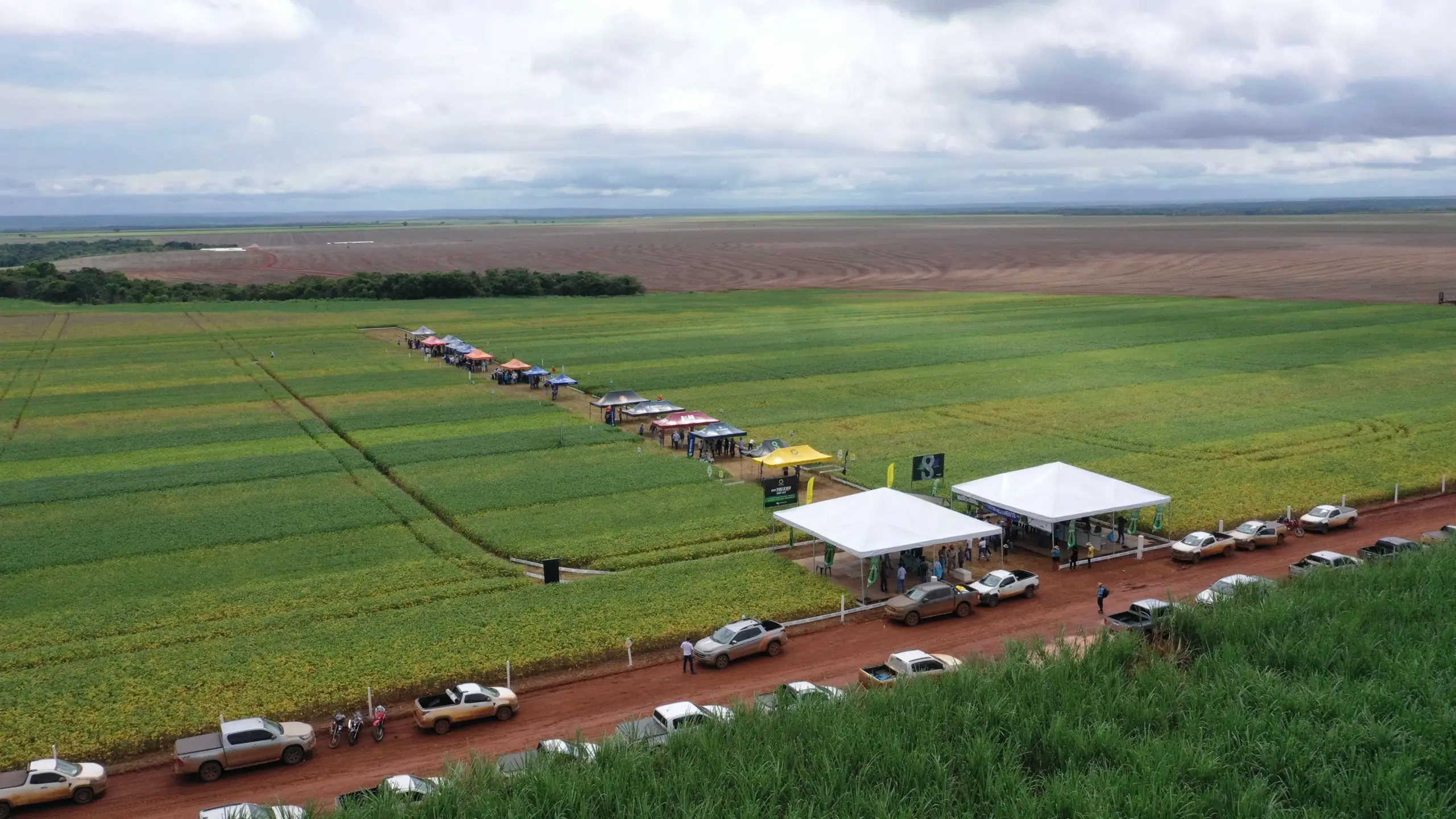 XV Jornada Tecnológica de Pedro Afonso e Região será realizada em janeiro de 2025