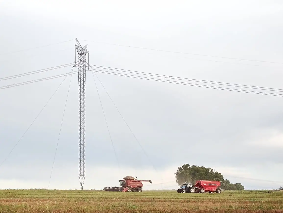 Máquinas agrícolas: plantio e colheita requerem cuidados para evitar acidentes elétricos 