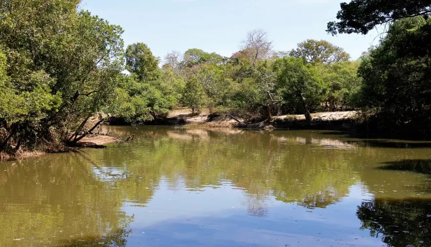 19º Boletim Climático e de Riscos de Incêndio: Nível das águas dos rios no Estado continua a subir, superando o ano passado