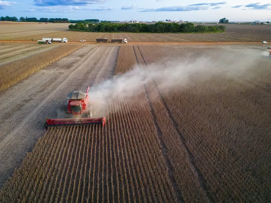 Preço das terras agrícolas sobe 113% em cinco anos